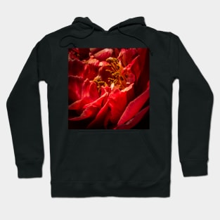 Camelia Close Up Hoodie